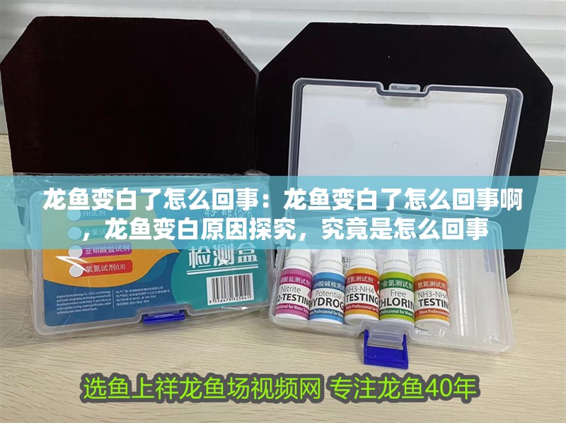 龍魚變白了怎么回事：龍魚變白了怎么回事啊，龍魚變白原因探究，究竟是怎么回事