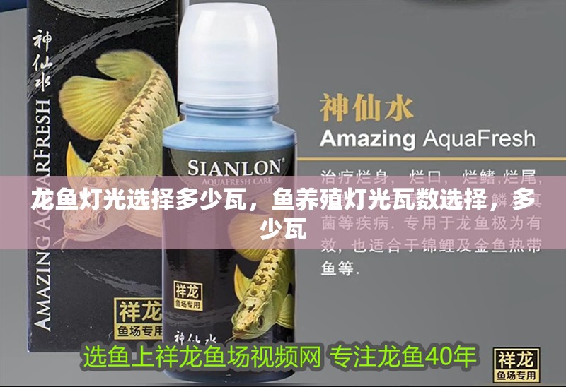 龍魚燈光選擇多少瓦，魚養殖燈光瓦數選擇，多少瓦