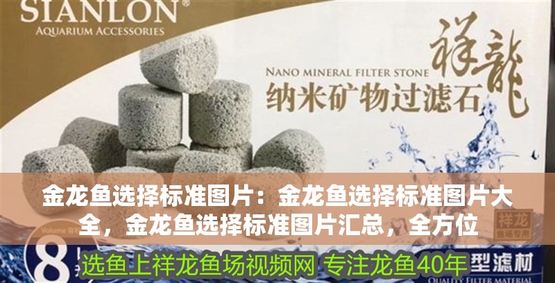 金龍魚(yú)選擇標(biāo)準(zhǔn)圖片：金龍魚(yú)選擇標(biāo)準(zhǔn)圖片大全，金龍魚(yú)選擇標(biāo)準(zhǔn)圖片匯總，全方位