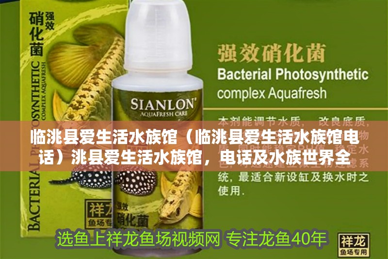 臨洮縣愛生活水族館（臨洮縣愛生活水族館電話）洮縣愛生活水族館，電話及水族世界全