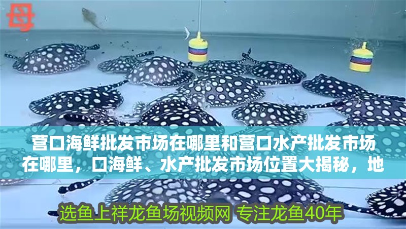 營口海鮮批發市場在哪里和營口水產批發市場在哪里，口海鮮、水產批發市場位置大揭秘，地址詳情及交通指引全