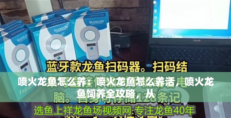 噴火龍魚怎么養(yǎng):噴火龍魚怎么養(yǎng)活,噴火龍魚飼養(yǎng)全攻略,從 水族問答 噴火龍魚怎么養(yǎng):噴火龍魚怎么養(yǎng)活,噴火龍魚飼養(yǎng)全攻略,從 噴火龍魚怎么養(yǎng):噴火龍魚怎么養(yǎng)活,噴火龍魚飼養(yǎng)全攻略,從 水族問答