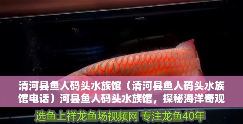 清河縣魚人碼頭水族館（清河縣魚人碼頭水族館電話）河縣魚人碼頭水族館，探秘海洋奇觀