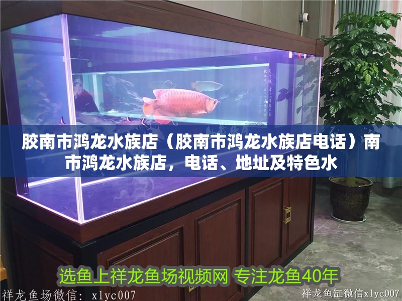 膠南市鴻龍水族店（膠南市鴻龍水族店電話）南市鴻龍水族店，電話、地址及特色水