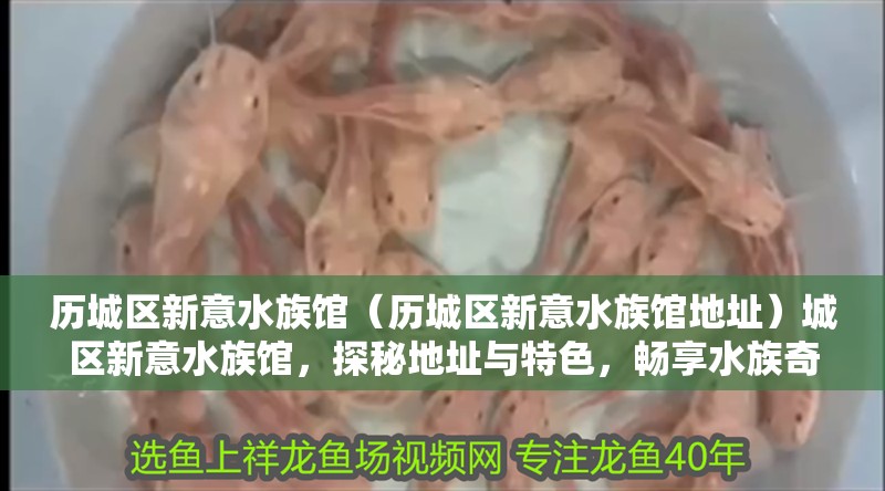 歷城區新意水族館（歷城區新意水族館地址）城區新意水族館，探秘地址與特色，暢享水族奇趣之旅 歷城區新意水族館（歷城區新意水族館地址）城區新意水族館，探秘地址與特色，暢享水族奇趣之旅 全國水族館企業名錄 第2張