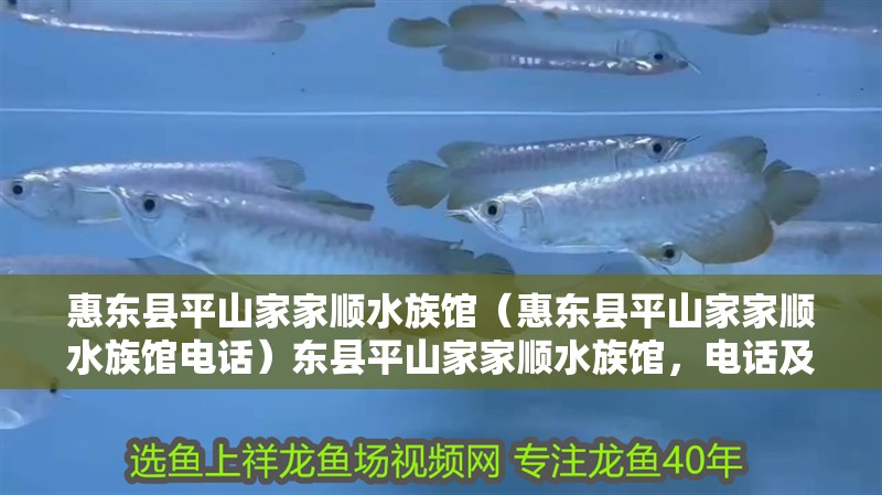 惠東縣平山家家順水族館（惠東縣平山家家順水族館電話）東縣平山家家順水族館，電話及特色 惠東縣平山家家順水族館（惠東縣平山家家順水族館電話）東縣平山家家順水族館，電話及特色 全國水族館企業名錄 第2張