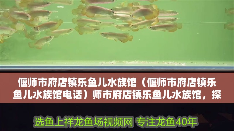 偃師市府店鎮(zhèn)樂(lè)魚(yú)兒水族館(偃師市府店鎮(zhèn)樂(lè)魚(yú)兒水族館電話(huà))師市府店鎮(zhèn)樂(lè)魚(yú)兒水族館,探尋電話(huà)及 全國(guó)水族館企業(yè)名錄 第2張 偃師市府店鎮(zhèn)樂(lè)魚(yú)兒水族館(偃師市府店鎮(zhèn)樂(lè)魚(yú)兒水族館電話(huà))師市府店鎮(zhèn)樂(lè)魚(yú)兒水族館,探尋電話(huà)及 偃師市府店鎮(zhèn)樂(lè)魚(yú)兒水族館(偃師市府店鎮(zhèn)樂(lè)魚(yú)兒水族館電話(huà))師市府店鎮(zhèn)樂(lè)魚(yú)兒水族館,探尋電話(huà)及 全國(guó)水族館企業(yè)名錄 第2張