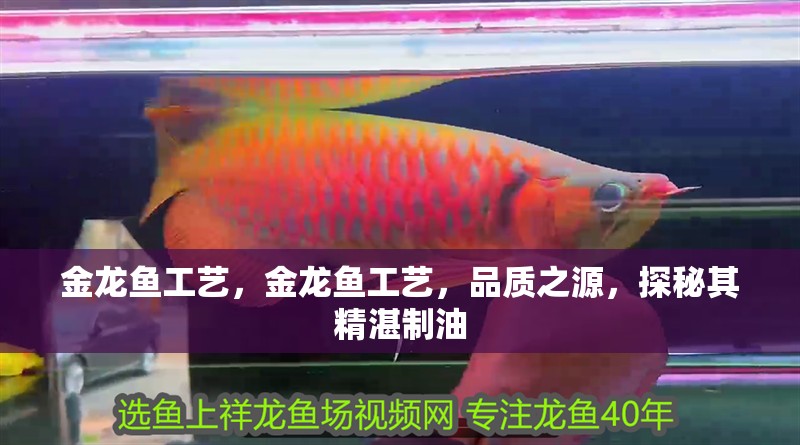 金龍魚工藝，金龍魚工藝，品質之源，探秘其精湛制油