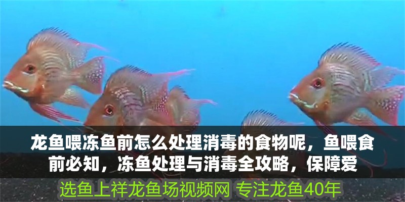 龍魚喂凍魚前怎么處理消毒的食物呢,魚喂食前必知,凍魚處理與消毒全攻略,保障愛 龍魚百科 第2張 龍魚喂凍魚前怎么處理消毒的食物呢,魚喂食前必知,凍魚處理與消毒全攻略,保障愛 龍魚喂凍魚前怎么處理消毒的食物呢,魚喂食前必知,凍魚處理與消毒全攻略,保障愛 龍魚百科 第2張