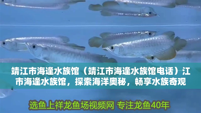 靖江市海逢水族館（靖江市海逢水族館電話）江市海逢水族館，探索海洋奧秘，暢享水族奇觀（附