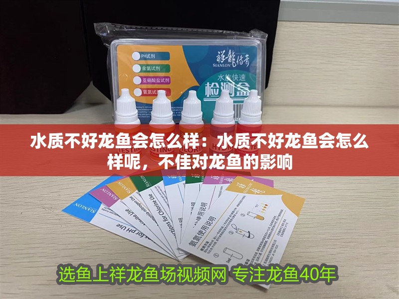 水質不好龍魚會怎么樣：水質不好龍魚會怎么樣呢，不佳對龍魚的影響
