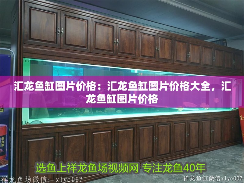 匯龍魚缸圖片價格：匯龍魚缸圖片價格大全，匯龍魚缸圖片價格