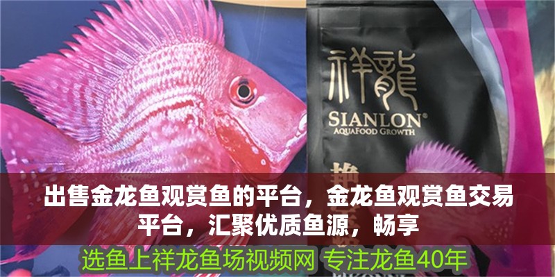 出售金龍魚觀賞魚的平臺，金龍魚觀賞魚交易平臺，匯聚優質魚源，暢享