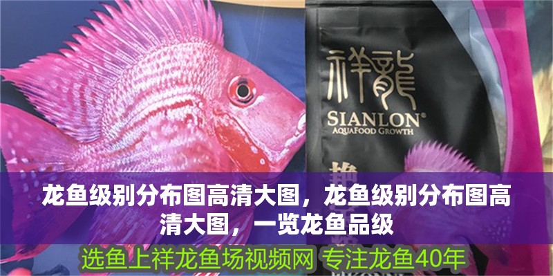 龍魚級別分布圖高清大圖，龍魚級別分布圖高清大圖，一覽龍魚品級