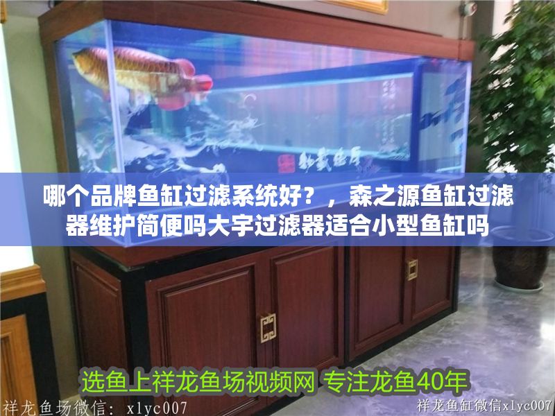 哪個(gè)品牌魚缸過濾系統(tǒng)好？，森之源魚缸過濾器維護(hù)簡(jiǎn)便嗎大宇過濾器適合小型魚缸嗎