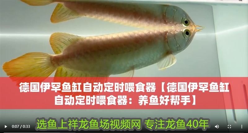 德國伊罕魚缸自動(dòng)定時(shí)喂食器【德國伊罕魚缸自動(dòng)定時(shí)喂食器：養(yǎng)魚好幫手】