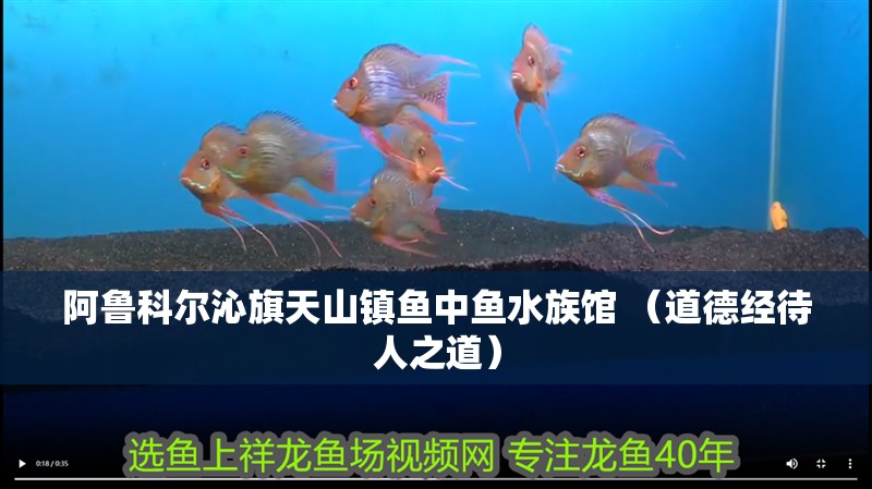 阿魯科爾沁旗天山鎮魚中魚水族館 （道德經待人之道）