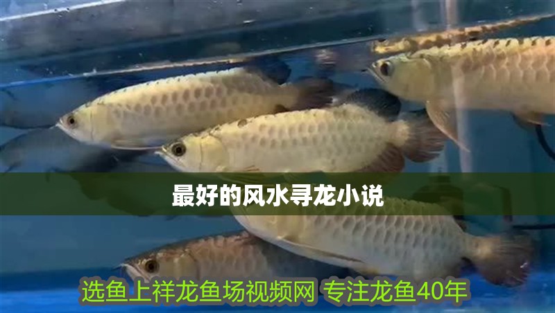 最好的風水尋龍小說