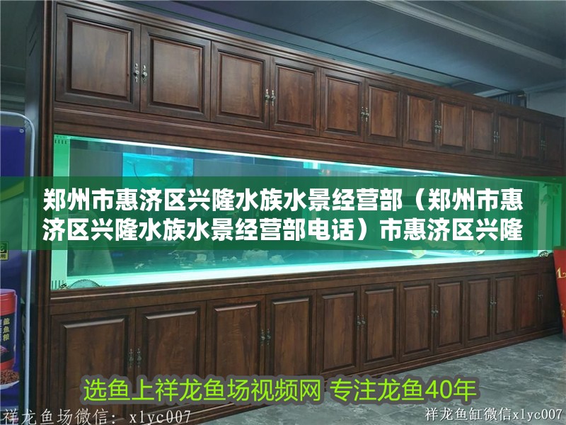 鄭州市惠濟區興隆水族水景經營部（鄭州市惠濟區興隆水族水景經營部電話）市惠濟區興隆水族水景經營部，電話及水族水景業務詳情介紹