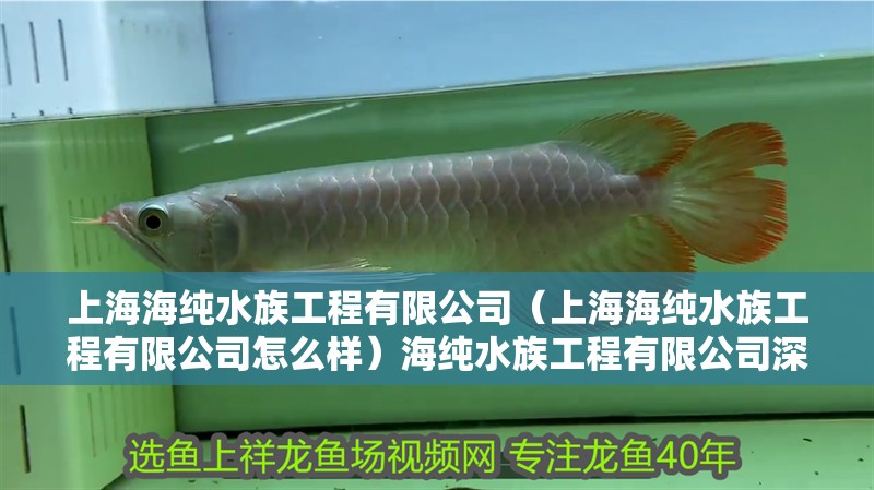 上海海純水族工程有限公司（上海海純水族工程有限公司怎么樣）海純水族工程有限公司深度剖析，實力、口碑與服務全