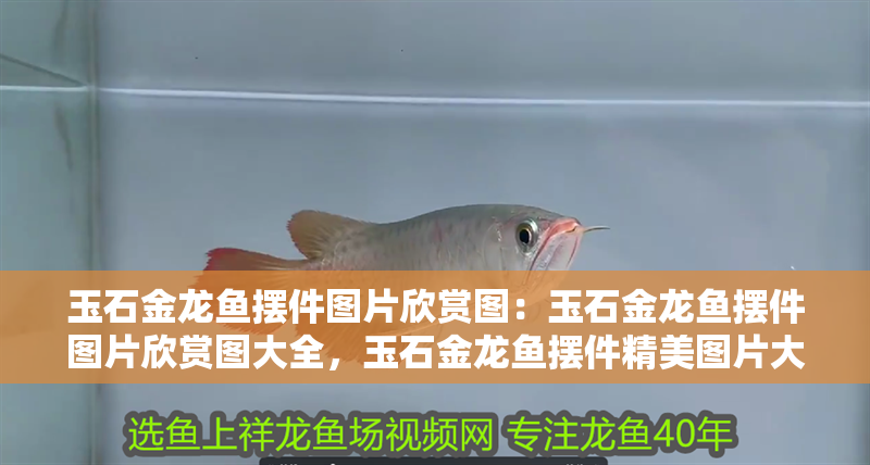 玉石金龍魚擺件圖片欣賞圖：玉石金龍魚擺件圖片欣賞圖大全，玉石金龍魚擺件精美圖片大