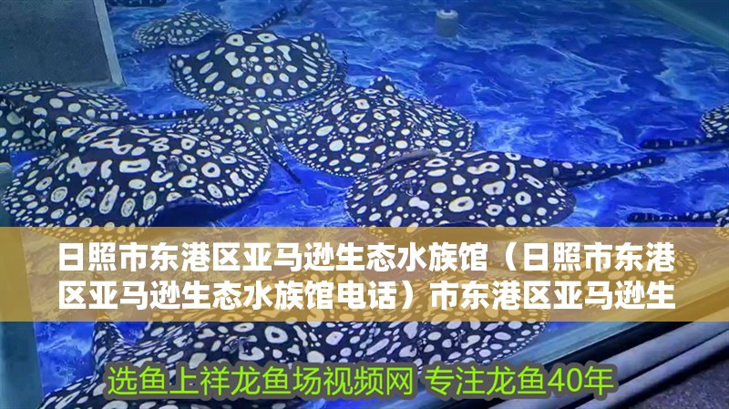 日照市東港區亞馬遜生態水族館（日照市東港區亞馬遜生態水族館電話）市東港區亞馬遜生態水族館 日照市東港區亞馬遜生態水族館（日照市東港區亞馬遜生態水族館電話）市東港區亞馬遜生態水族館 全國水族館企業名錄 第2張
