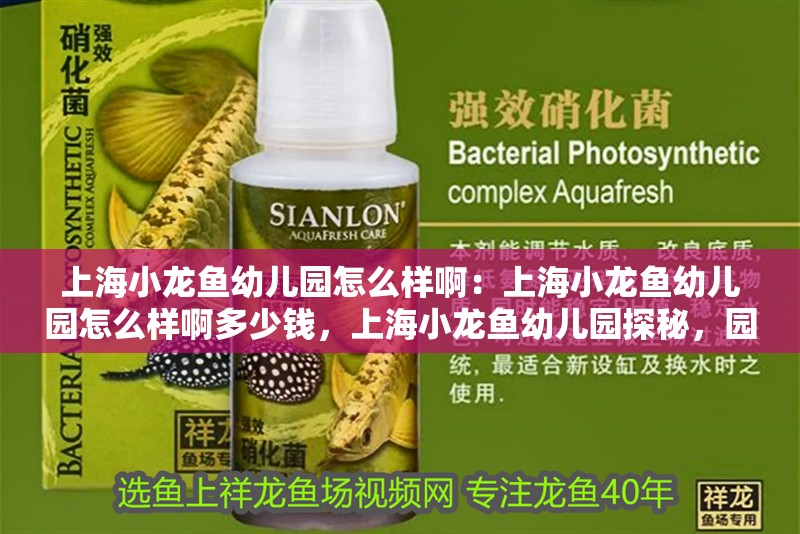 上海小龍魚幼兒園怎么樣?。荷虾Ｐ↓堲~幼兒園怎么樣啊多少錢，上海小龍魚幼兒園探秘，園所情況及收費詳情