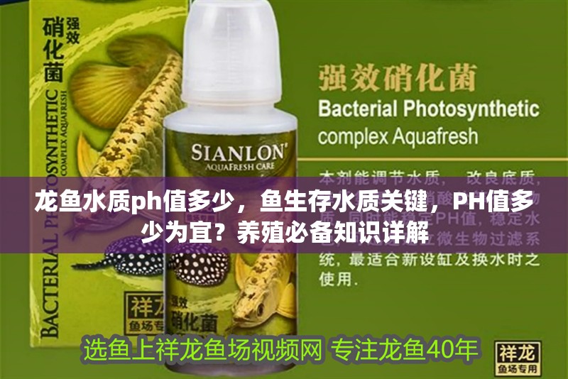 龍魚水質(zhì)ph值多少，魚生存水質(zhì)關(guān)鍵，PH值多少為宜？養(yǎng)殖必備知識詳解