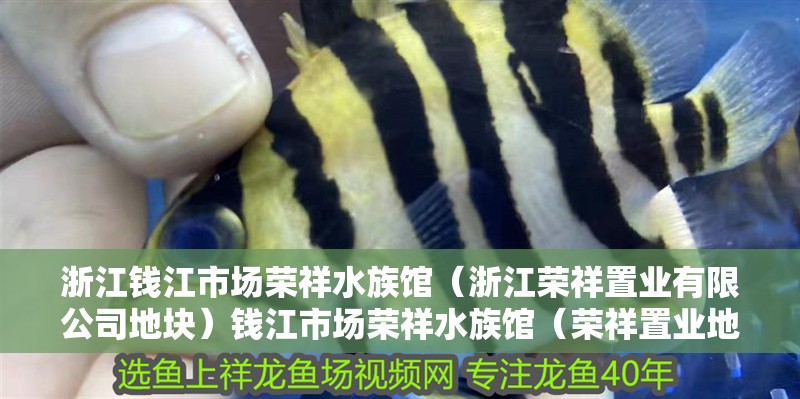 浙江錢江市場榮祥水族館（浙江榮祥置業有限公司地塊）錢江市場榮祥水族館（榮祥置業地塊）