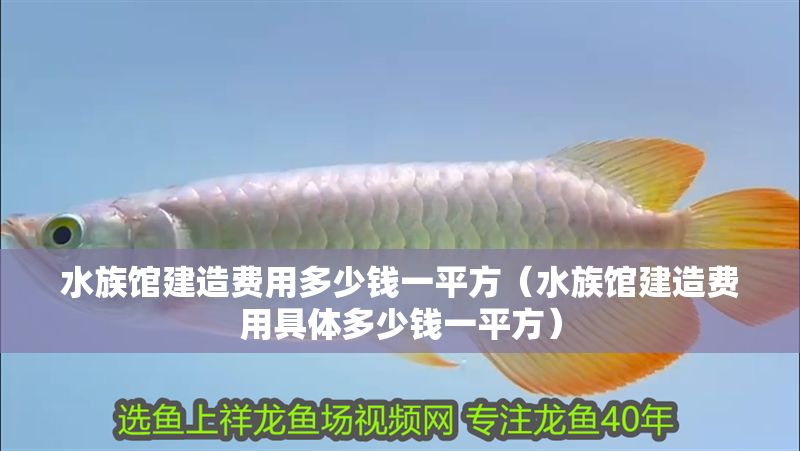 水族館建造費(fèi)用多少錢一平方（水族館建造費(fèi)用具體多少錢一平方）