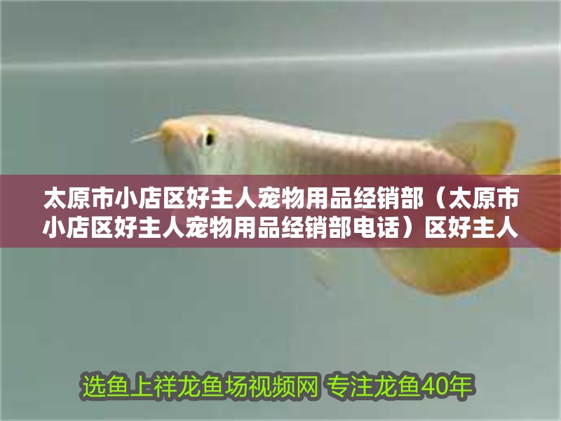 太原市小店區(qū)好主人寵物用品經(jīng)銷(xiāo)部（太原市小店區(qū)好主人寵物用品經(jīng)銷(xiāo)部電話）區(qū)好主人寵物用品經(jīng)銷(xiāo)部，電話