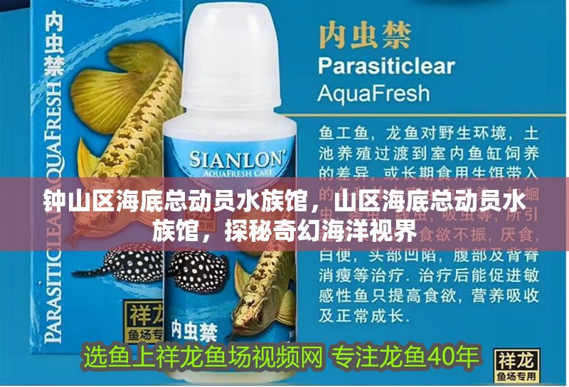 鐘山區(qū)海底總動(dòng)員水族館,山區(qū)海底總動(dòng)員水族館,探秘奇幻海洋視界 全國(guó)水族館企業(yè)名錄 第2張 鐘山區(qū)海底總動(dòng)員水族館,山區(qū)海底總動(dòng)員水族館,探秘奇幻海洋視界 鐘山區(qū)海底總動(dòng)員水族館,山區(qū)海底總動(dòng)員水族館,探秘奇幻海洋視界 全國(guó)水族館企業(yè)名錄 第2張