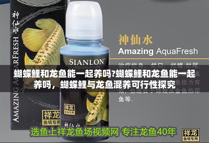 蝴蝶鯉和龍魚(yú)能一起養(yǎng)嗎?蝴蝶鯉和龍魚(yú)能一起養(yǎng)嗎，蝴蝶鯉與龍魚(yú)混養(yǎng)可行性探究