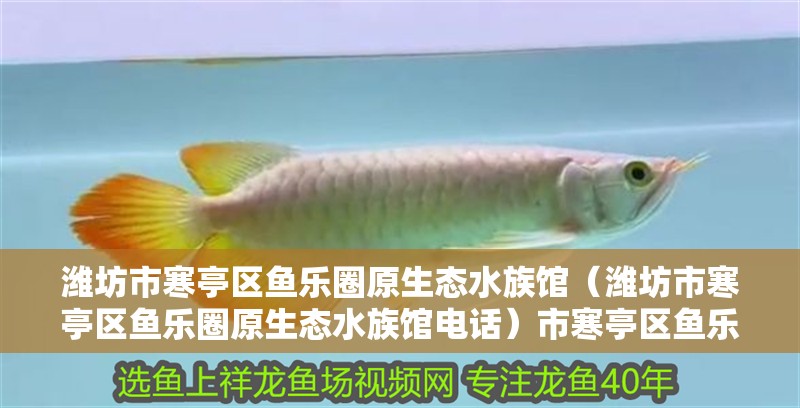濰坊市寒亭區魚樂圈原生態水族館（濰坊市寒亭區魚樂圈原生態水族館電話）市寒亭區魚樂圈原生態水族館，探