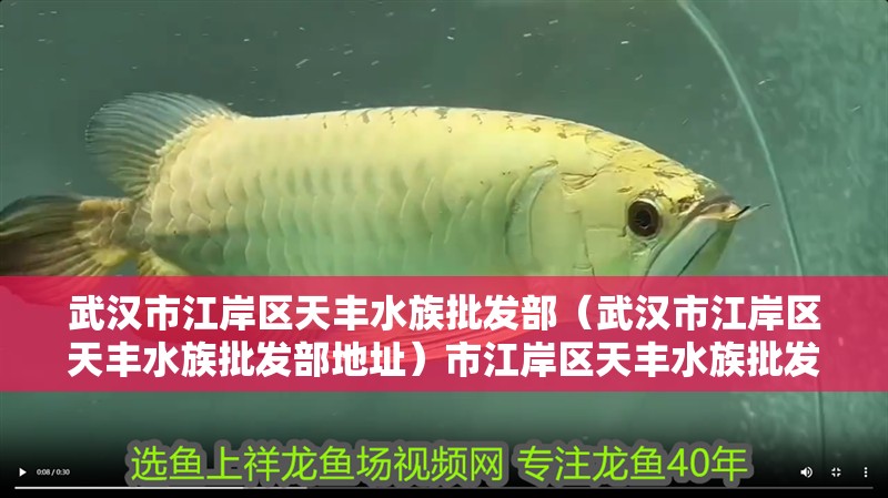 武漢市江岸區天豐水族批發部（武漢市江岸區天豐水族批發部地址）市江岸區天豐水族批發部 武漢市江岸區天豐水族批發部（武漢市江岸區天豐水族批發部地址）市江岸區天豐水族批發部 全國水族館企業名錄 第2張