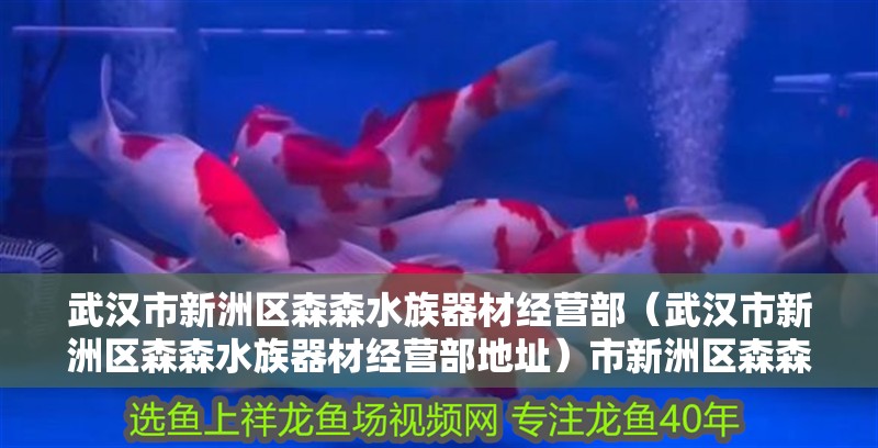 武漢市新洲區森森水族器材經營部（武漢市新洲區森森水族器材經營部地址）市新洲區森森水族器材經營部地址及相關信息詳解