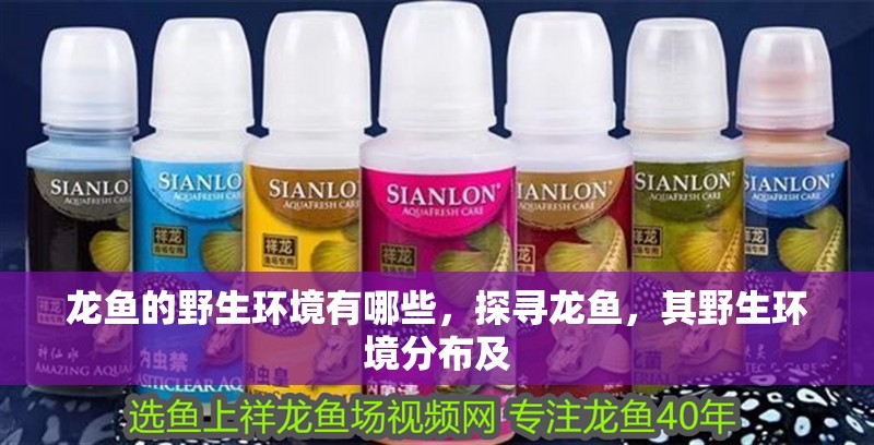 龍魚的野生環境有哪些，探尋龍魚，其野生環境分布及 龍魚的野生環境有哪些，探尋龍魚，其野生環境分布及 龍魚百科 第4張