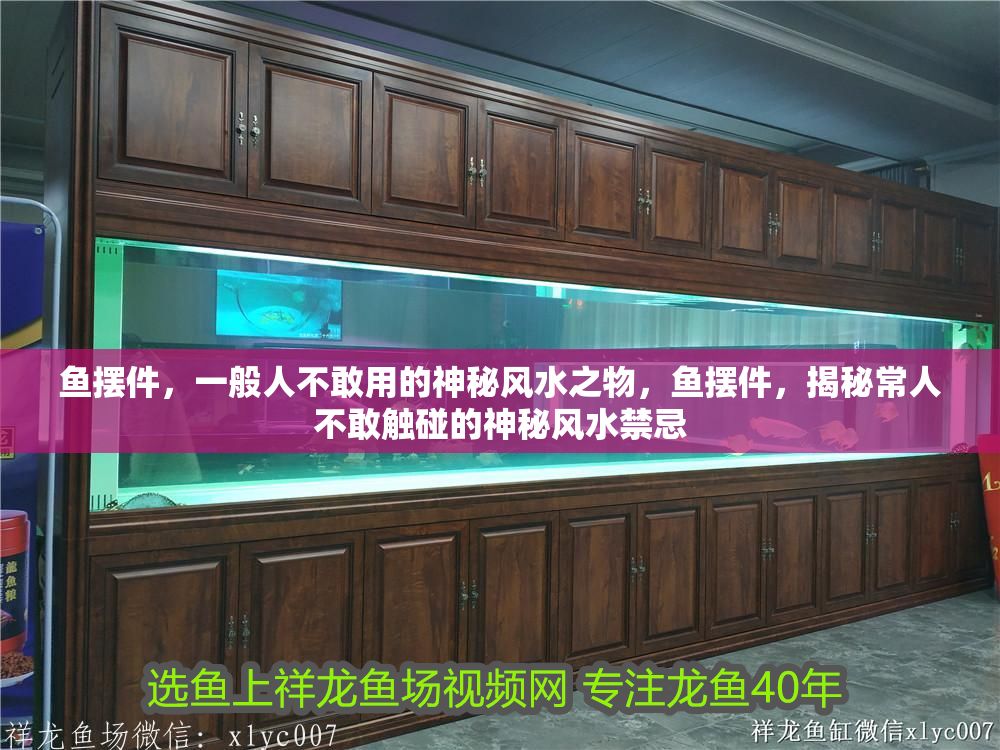 魚擺件，一般人不敢用的神秘風水之物，魚擺件，揭秘常人不敢觸碰的神秘風水禁忌
