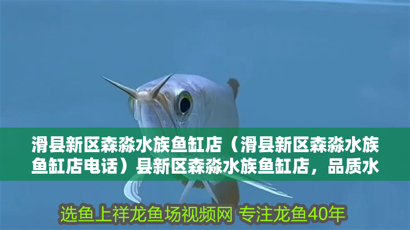 滑縣新區森淼水族魚缸店（滑縣新區森淼水族魚缸店電話）縣新區森淼水族魚缸店，品質水族用品，專業服務，電話一鍵咨詢