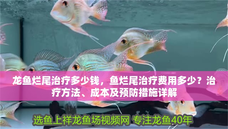 龍魚爛尾治療多少錢，魚爛尾治療費用多少？治療方法、成本及預防措施詳解