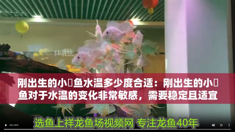 剛出生的小魟魚水溫多少度合適：剛出生的小魟魚對(duì)于水溫的變化非常敏感，需要穩(wěn)定且適宜的水溫環(huán)境