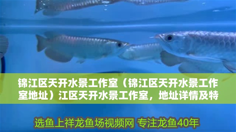 錦江區天開水景工作室（錦江區天開水景工作室地址）江區天開水景工作室，地址詳情及特色水景設計