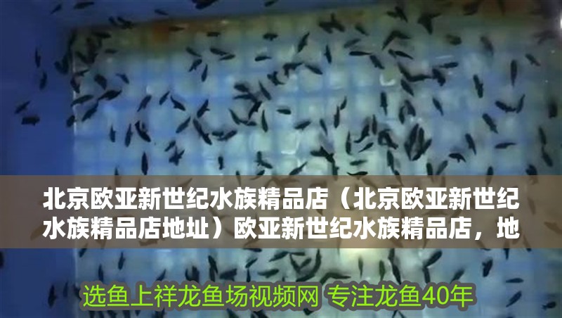 北京歐亞新世紀水族精品店（北京歐亞新世紀水族精品店地址）歐亞新世紀水族精品店，地址詳情及特色水族產品
