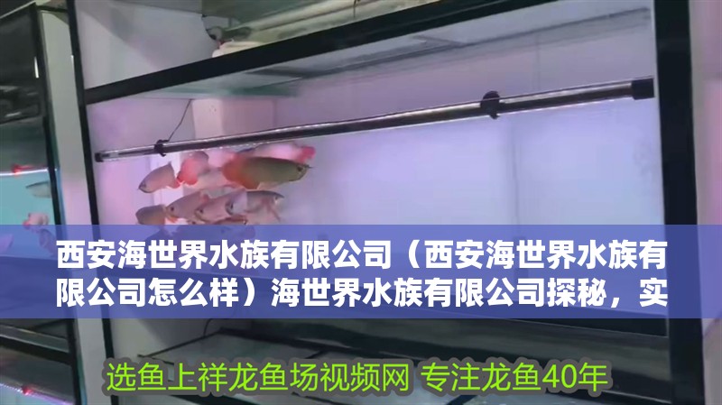 西安海世界水族有限公司（西安海世界水族有限公司怎么樣）海世界水族有限公司探秘，實力、口碑與特色全 西安海世界水族有限公司（西安海世界水族有限公司怎么樣）海世界水族有限公司探秘，實力、口碑與特色全 全國水族館企業名錄 第2張