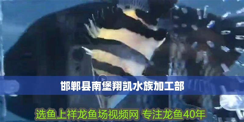 邯鄲縣南堡翔凱水族加工部