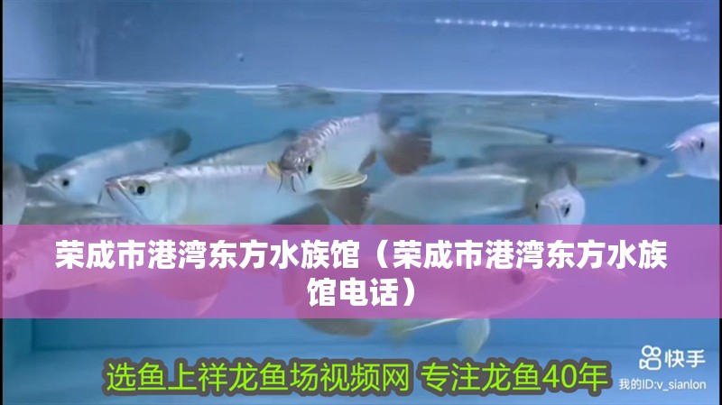 榮成市港灣東方水族館（榮成市港灣東方水族館電話）
