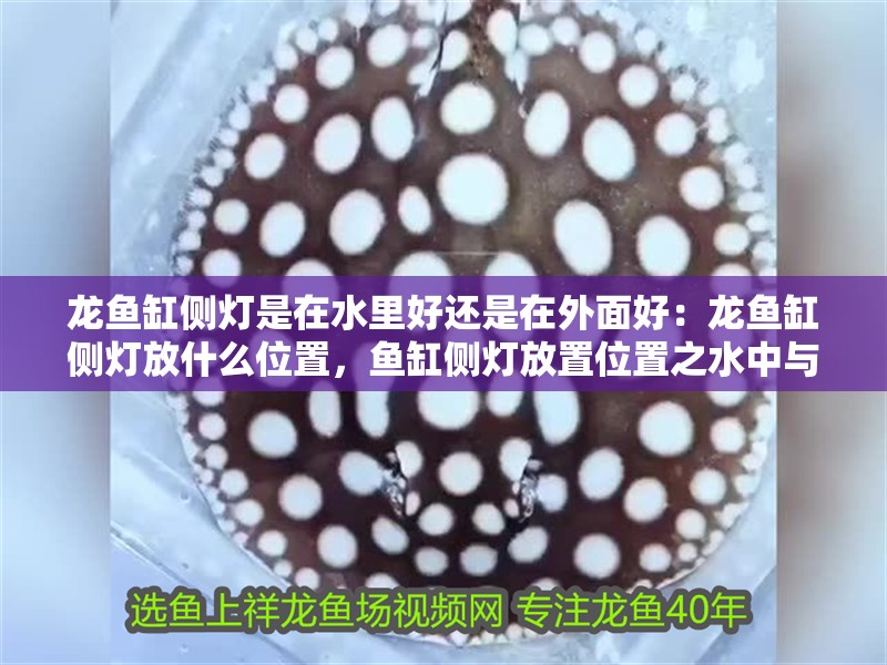 龍魚缸側燈是在水里好還是在外面好：龍魚缸側燈放什么位置，魚缸側燈放置位置之水中與水