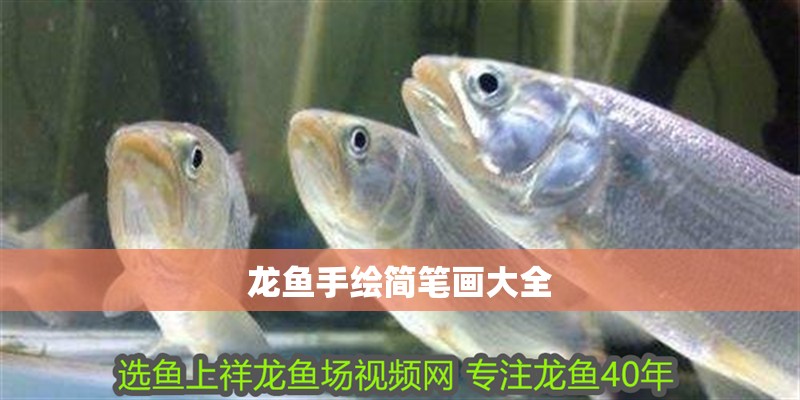 龍魚手繪簡筆畫大全