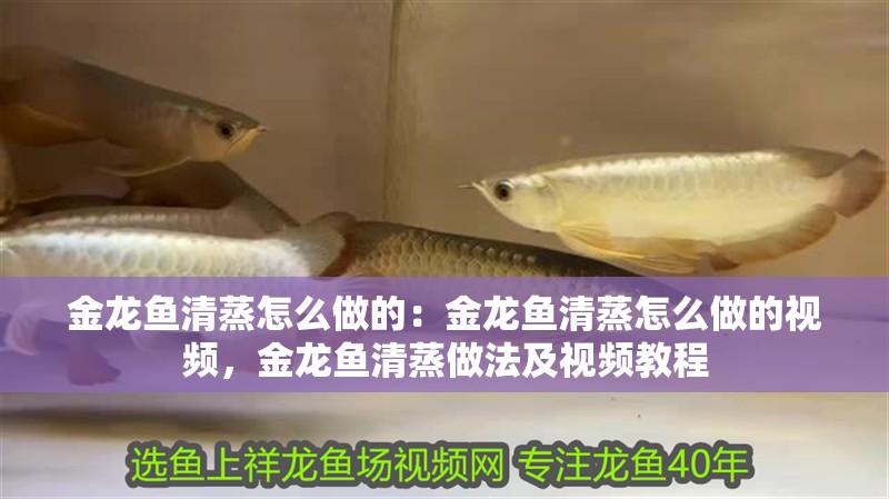 金龍魚清蒸怎么做的：金龍魚清蒸怎么做的視頻，金龍魚清蒸做法及視頻教程