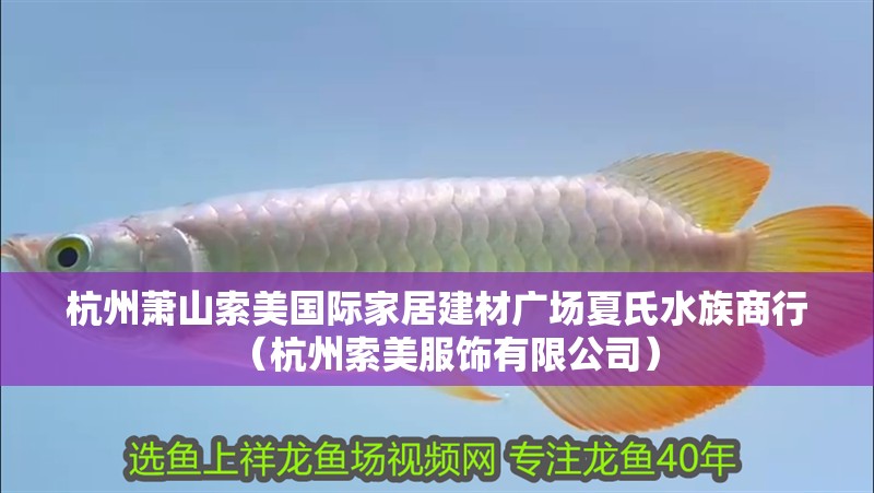 杭州蕭山索美國際家居建材廣場夏氏水族商行（杭州索美服飾有限公司）